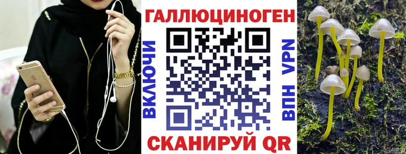 Галлюциногенные грибы Psilocybe  ОМГ ОМГ зеркало  Геленджик 