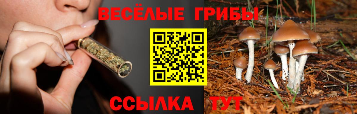 Геленджик  Псилоцибиновые грибы Magic Shrooms  дарнет шоп  Вход с VPN  Псилоцибиновые грибы MAGIC MUSHROOMS 