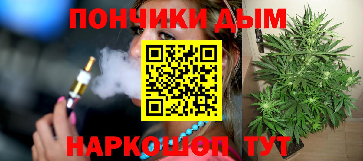 Шишки марихуана конопля Геленджик